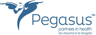 Pegasus pho